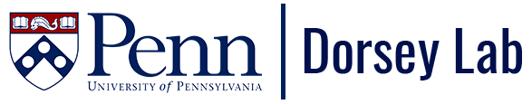 Dorsey Lab